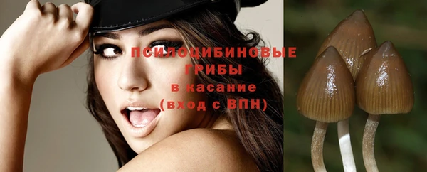 герыч Зерноград